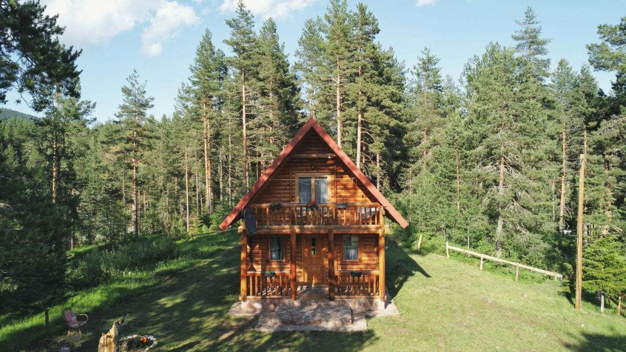 Holiday Home Aster Zabljak  Bagian luar foto