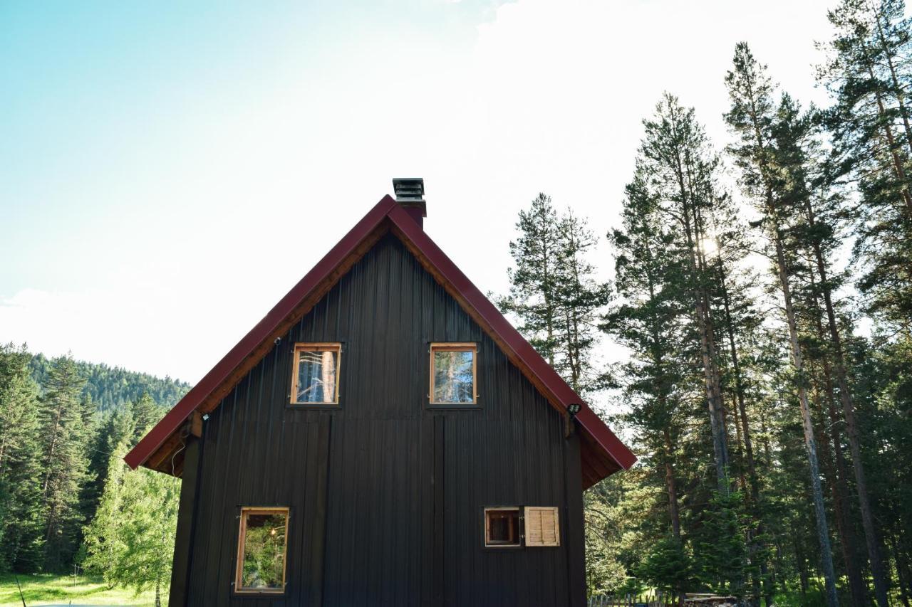 Holiday Home Aster Zabljak  Bagian luar foto