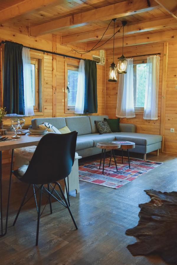 Holiday Home Aster Zabljak  Bagian luar foto