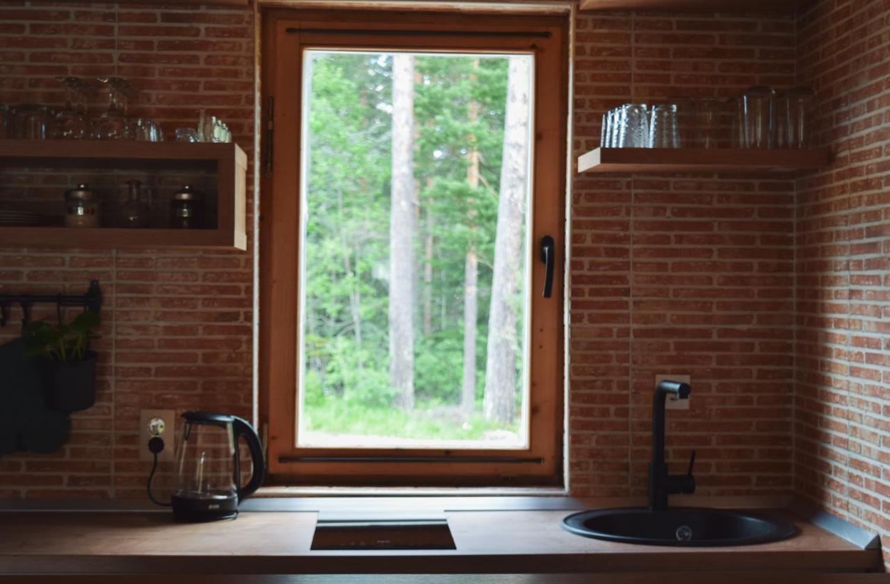 Holiday Home Aster Zabljak  Bagian luar foto